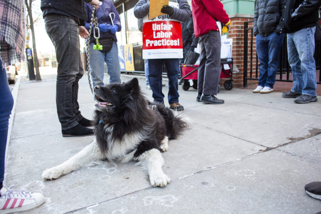 The Strike Daily Nov. 28: Striking Post-Gazette Workers Featured In ...