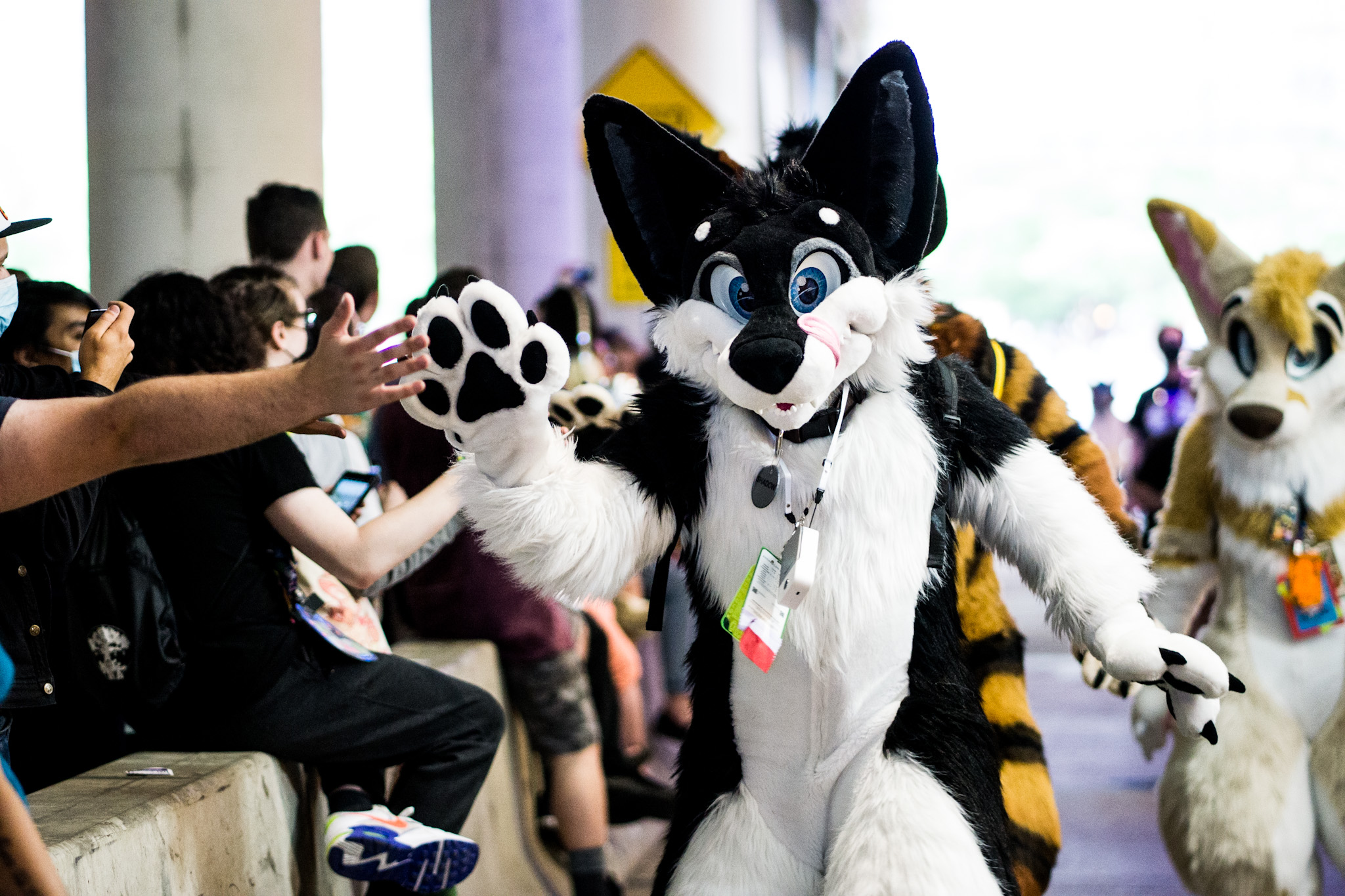 Missed out on a hotel room for Anthrocon? VisitPITTSBURGH has you