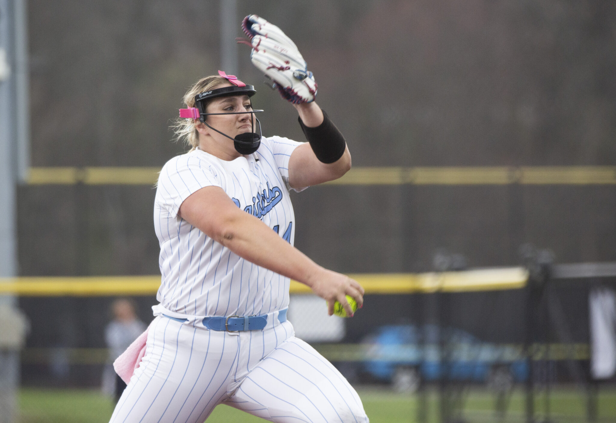 2024 WPIAL softball postseason outlook Pittsburgh Union Progress