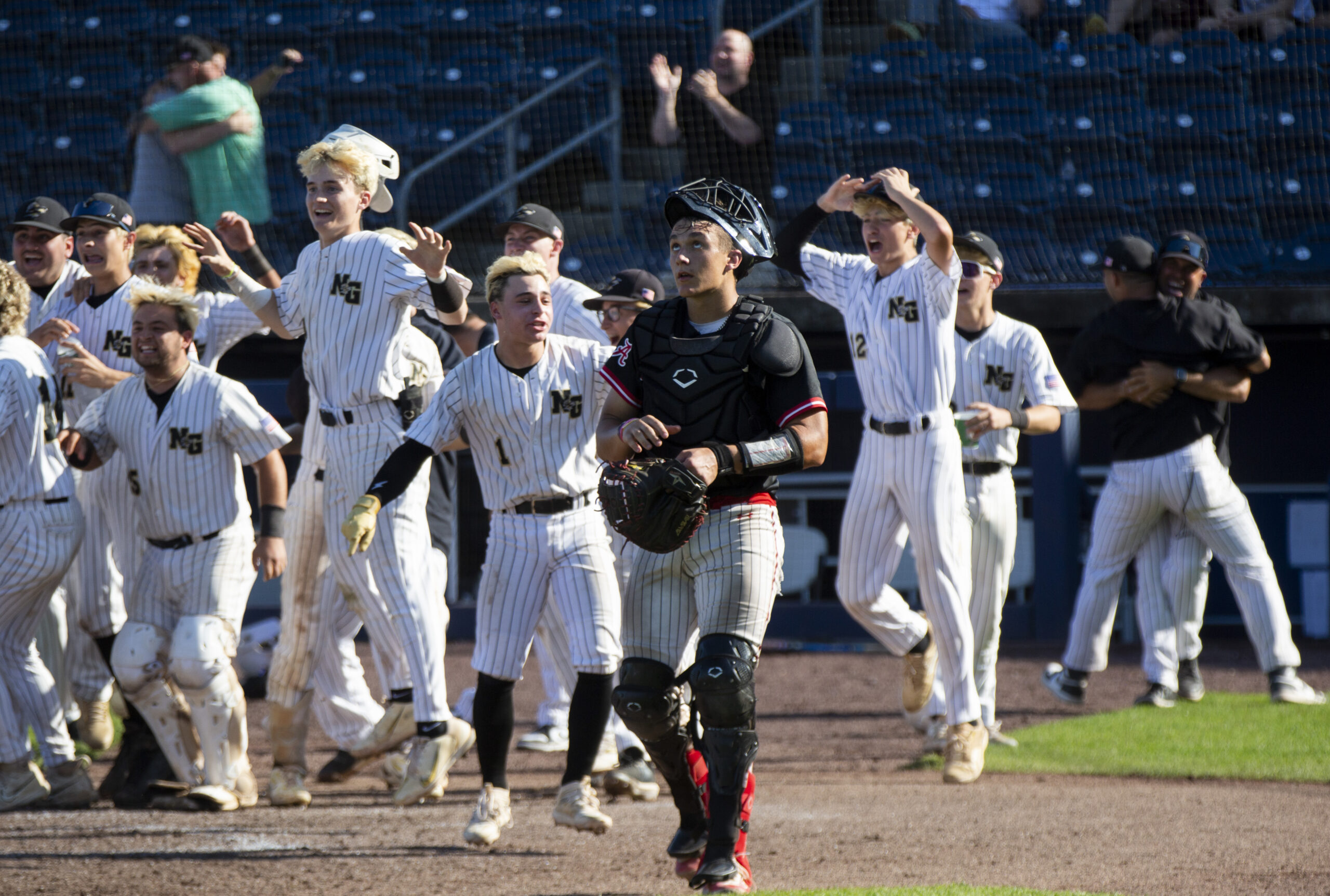 PIAA Class 3A baseball championship: One-hitter, disputed call doom ...